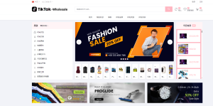 tiktok商城+落地页源码搭建教程-云创项目库