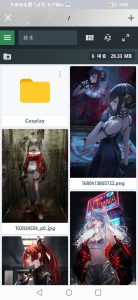 PHP源码图片文件管理功能系统-云创项目库