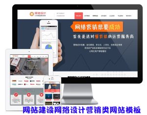 网站建设网络设计营销类网站模板-云创项目库