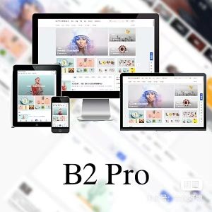 WordPress B2 Pro 主题5.2.0最新开心版,附带官方包体与授权文件-云创项目库