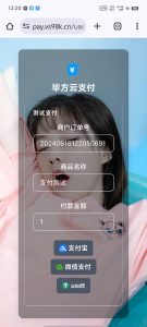 易支付美化模板开源-云创项目库