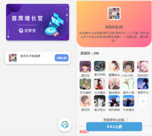 WordPress开发进群V2主题源码,多种引流方法,引私域二次变现-云创项目库