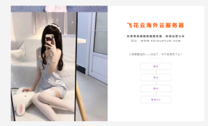 2024一款超级好看的引导页源码-云创项目库