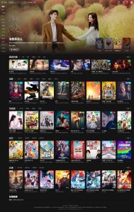 苹果cmsV10暗黑大气MT主题模板-只有PC版本-云创项目库