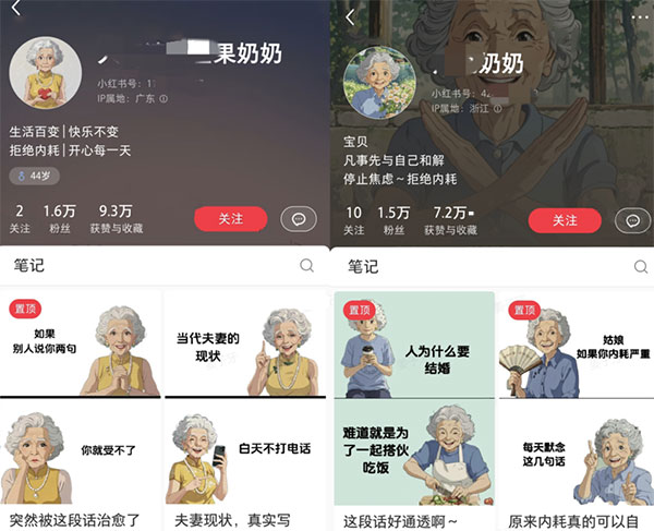 小红书AI奶奶类思路，20天爆炸性增长粉丝5w-云创项目库