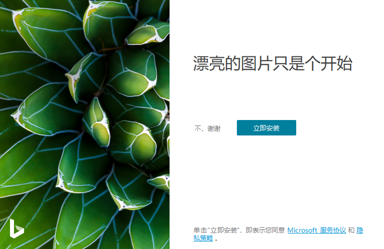 Bing Wallpaper v2.0.1.4中文版-云创项目库