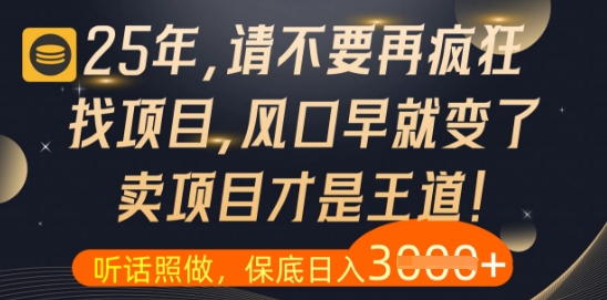 什么？25年你还在疯狂找项目做，醒醒吧，看完这些你全都懂了【揭秘】-云创项目库