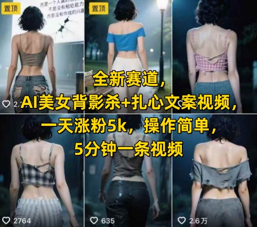 全新赛道，AI美女背影杀+扎心文案视频，一天涨粉5k，操作简单，5分钟一条视频-云创项目库