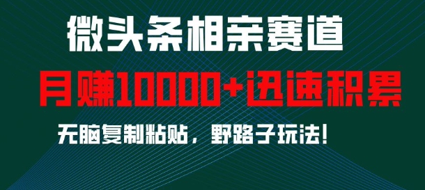 微头条相亲赛道，迅速积累，无脑复制粘贴，野路子玩法，月入1w-云创项目库