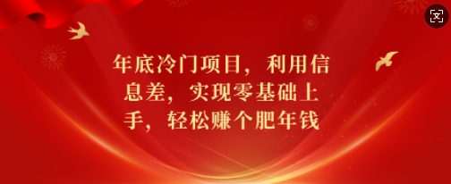 年底冷门项目，利用信息差，实现零基础上手，轻松赚个肥年钱【揭秘】-云创项目库
