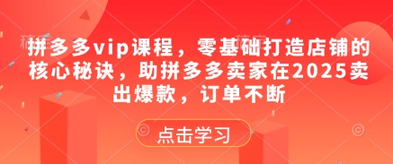 拼多多vip课程，零基础打造店铺的核心秘诀，助拼多多卖家在2025卖出爆款，订单不断-云创项目库