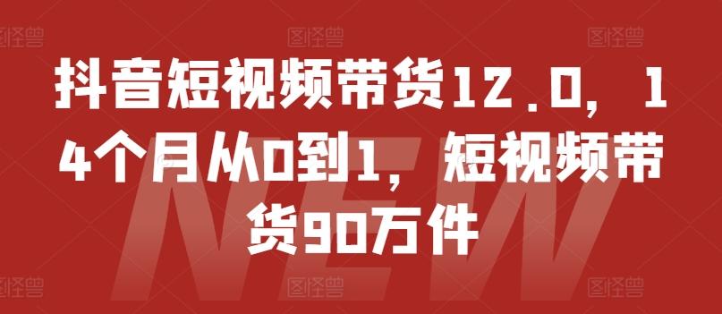 抖音短视频带货12.0，14个月从0到1，短视频带货90万件-云创项目库