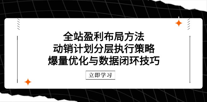 全站盈利布局方法：动销计划分层执行策略，爆量优化与数据闭环技巧-云创项目库