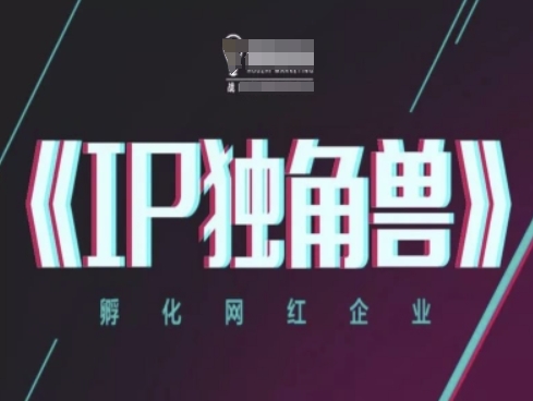 IP独角兽，孵化网红企业，ip教程-云创项目库