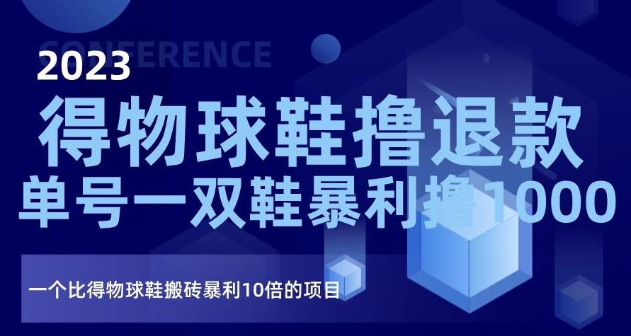 2023得物球鞋撸退款，单号一双鞋暴利撸1000，一个比得物球鞋搬砖暴利10倍的项目【揭秘】-云创项目库
