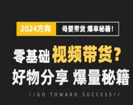 短视频母婴赛道实操流量训练营，零基础视频带货，好物分享，爆量秘籍-云创项目库
