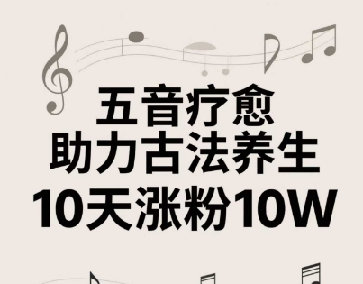 古法五音养生教程，五音疗愈的视频的制作方法，2-4小时就能学会，作者10天涨粉10W-云创项目库