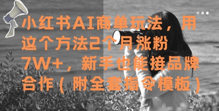 小红书AI商单玩法，用这个方法2个月涨粉7W+，新手也能接品牌合作(附全套指令模板)-云创项目库