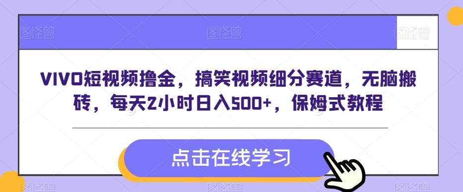 VIVO短视频撸金，搞笑视频细分赛道，无脑搬砖，每天2小时日入500+，保姆式教程-云创项目库
