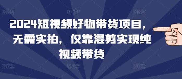 2024短视频好物带货项目，无需实拍，仅靠混剪实现纯视频带货-云创项目库