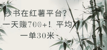 抄书在小红薯平台？平均一单30米，一天收益几张！-云创项目库