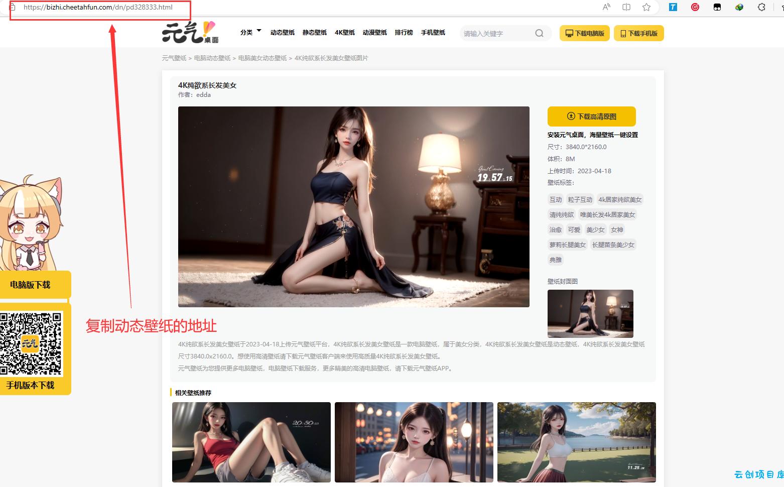 PHP电脑元气动态壁纸在线下载源码 PHP电脑元气动态壁纸在线下载源码