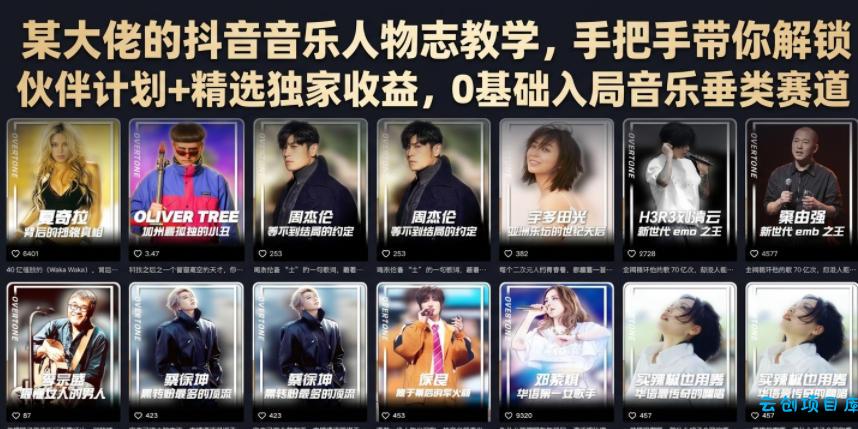 某大佬的抖音音乐人物志教学，手把手带你解锁伙伴计划+精选独家收益，0基础入局音乐垂类赛道-云创项目库