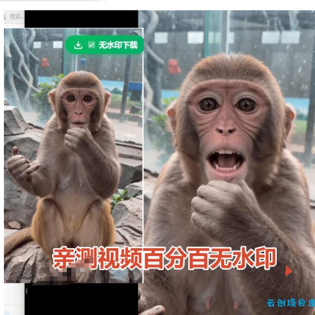 豆包无水印下载终于来了!支持豆包图片/视频,目前唯一免费使用的插件,浏览器拓展