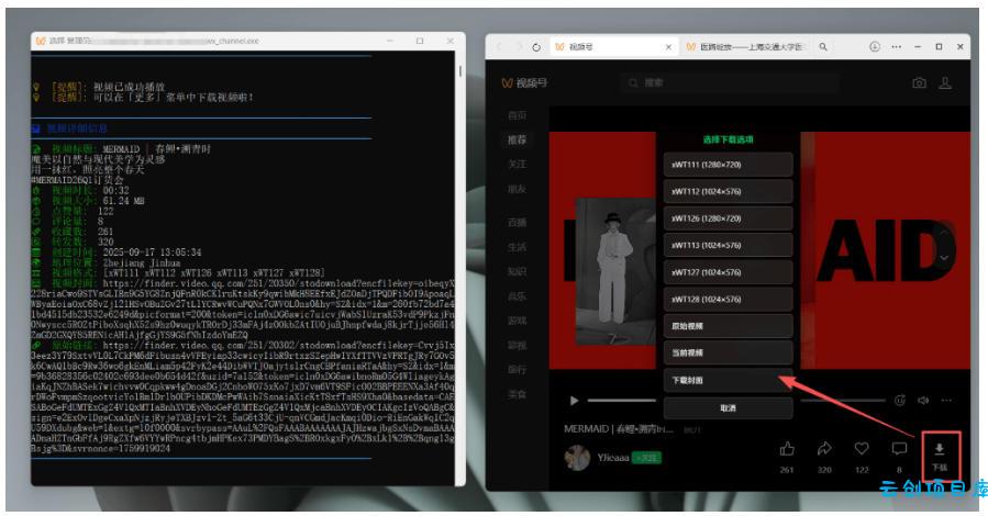 Github热门工具，视频号下载神器又来了！一键注入下载按钮，轻松下载，使用便捷wx_channel