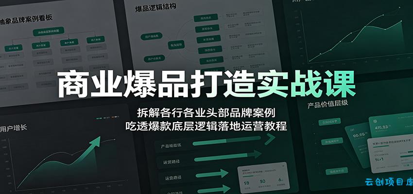 商业爆品打造实战课：拆解各行各业头部品牌案例，吃透爆款底层逻辑落地运营教程-云创项目库