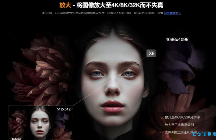 Win/Mac双端支持!最新永久终身版,支持老照片修复,图片变清晰无损放大工具,Aiarty Image Enhancer
