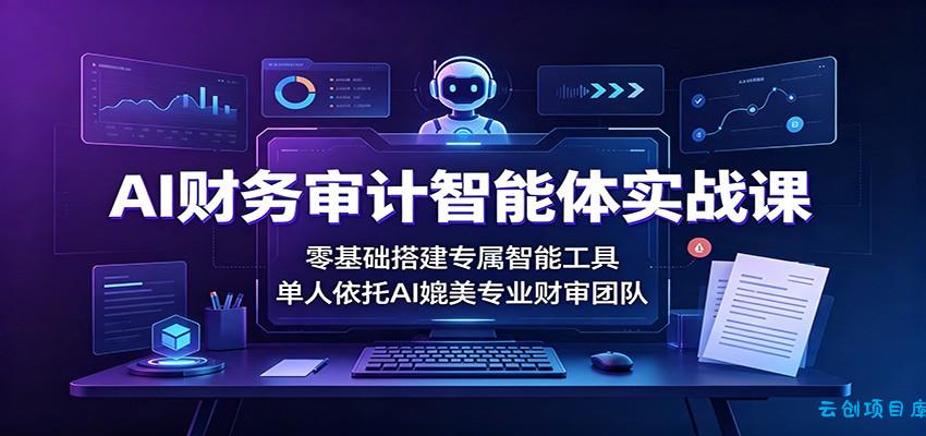 AI财务审计智能体实战课：零基础搭建专属智能工具，单人依托AI媲美专业财审团队-云创项目库