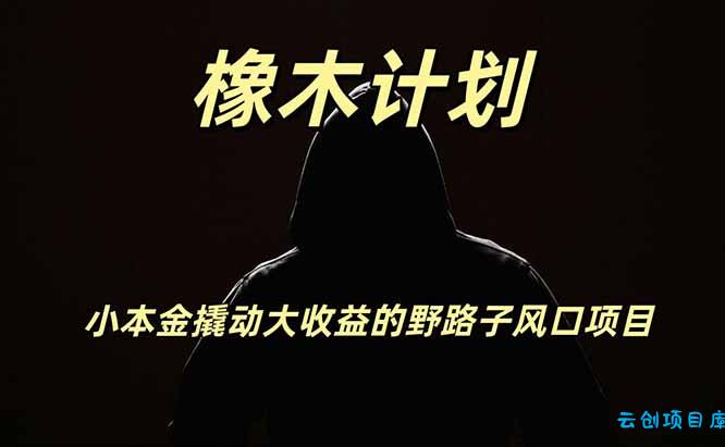 橡木计划，小投入撬动高回报的风口野路子项目，一天投入2小时左右-云创项目库
