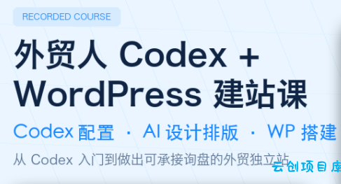 大卫·外贸人Codex + WordPress建站课(更新8月)-云创项目库