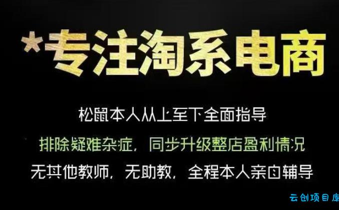 松鼠会电商VIP课程,从基础布局到高阶优化,助你掌握淘宝运营逻辑,提升店铺流量与转化(更新0823)-云创项目库