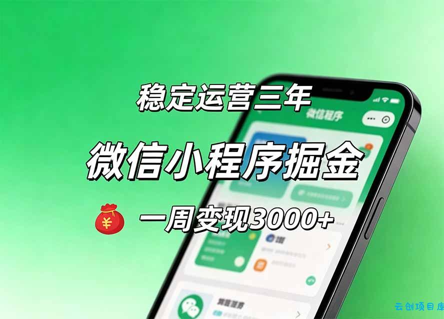 月收益稳定1W+的微信小程序，前期积累客户，后期躺平养老，小白轻松上手-云创项目库