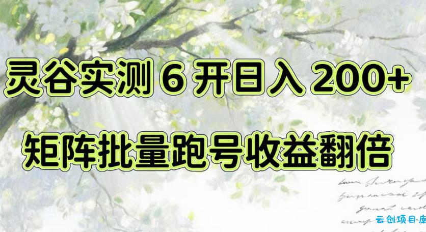 一台电脑就能做！灵谷实测6开日入200+，矩阵批量跑号收益翻倍【揭秘】-云创项目库