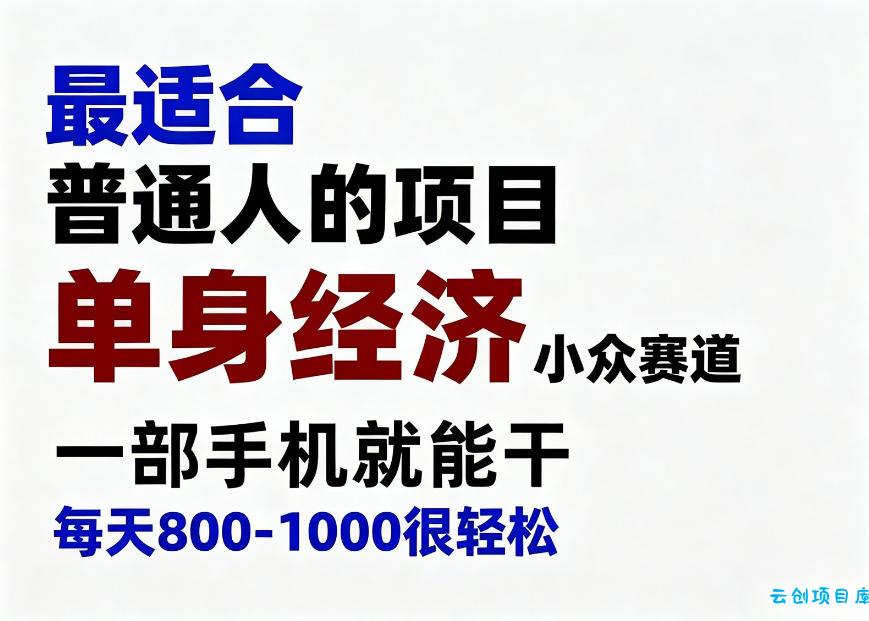 身经济小众赛道，一部手机就能干，每天搞个800-1000很轻松，最适合普通人的项目【揭秘】-云创项目库