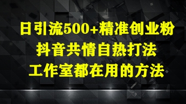 日引流500+精准创业粉，抖音共情自热打法，工作室都在用的方法-云创项目库