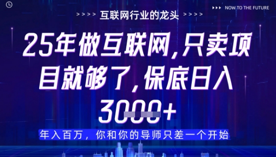 什么！25年你还在找项目做？风口早就变了，卖项目才是稳挣不赔【揭秘】-云创项目库
