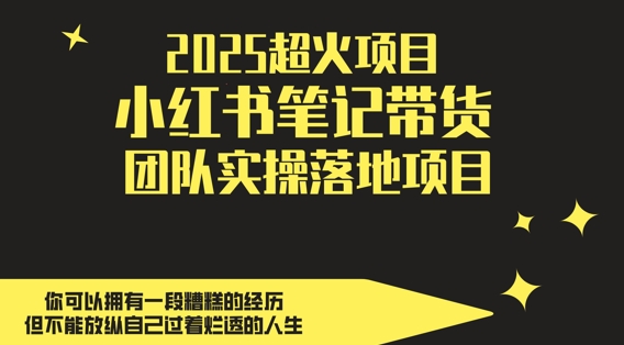 2025超火项目，副业最佳选择，小红书笔记带货团队实操落地项目，，轻松日入5张-云创项目库