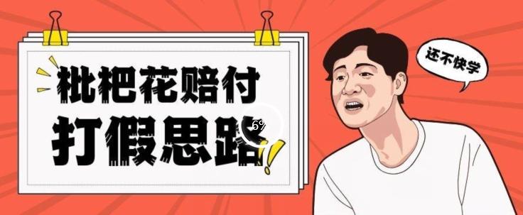 最新打假原料枇杷花赔付玩法一单收益1000+小白轻松下车【详细视频玩法教程】【仅揭秘】-云创项目库