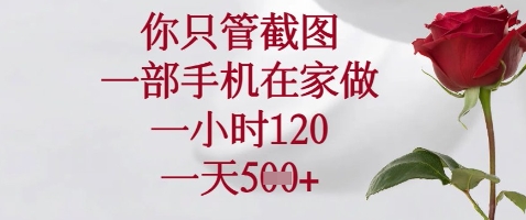 你只管截图，一部手机在家做，苹果安卓都可以，一小时120，一天5张+【揭秘】-云创项目库