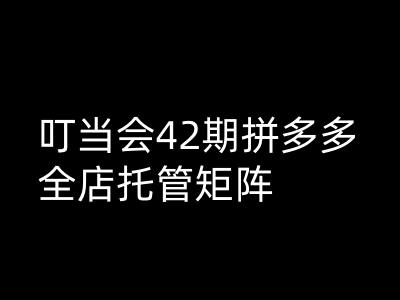 叮当会拼多多打爆班原创高阶技术第42期，拼多多全店托管矩阵-云创项目库