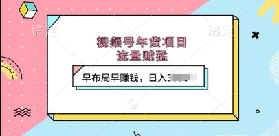 视频号年货项目，流量贼猛，早布局早挣钱，日入上k【揭秘】-云创项目库
