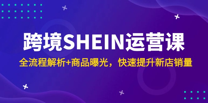 跨境SHEIN运营课，全流程解析+商品曝光，快速提升新店销量-云创项目库