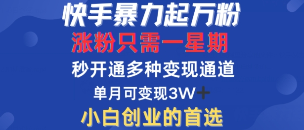 快手暴力起万粉，涨粉只需一星期，多种变现模式，直接秒开万合，单月变现过W【揭秘】-云创项目库