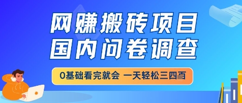 网创搬砖项目，国内问卷调查，小白轻松上手，一天三四张的也不难，干就完了【揭秘】-云创项目库