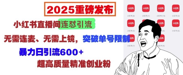 2025重磅发布：小红书直播间连怼引流，无需连麦、无需上镜，突破单号限制，暴力日引流600+-云创项目库
