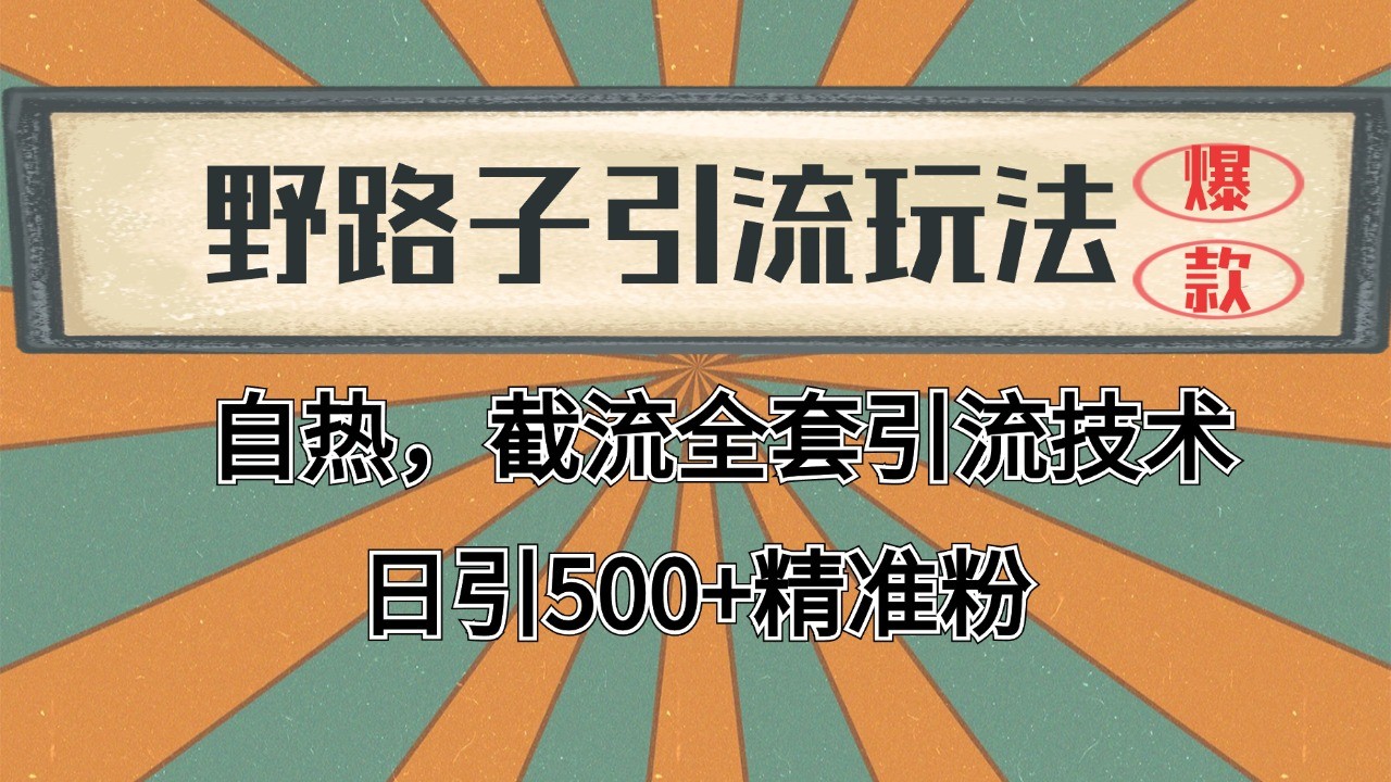 抖音小红书视频号全平台引流打法，全自动引流日引2000+精准客户-云创项目库